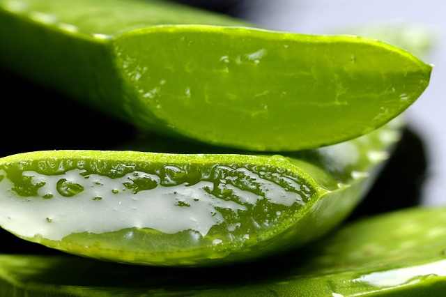 Aloe vera will help strengthen your lashes and get thicker eyelashes