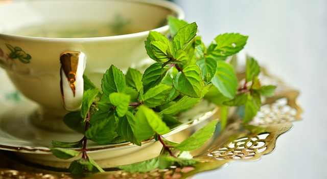 peppermint-has antispasmodic properties that can be used to prevent nausea