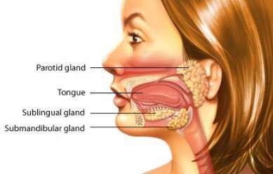 salivary glands causes, treatment