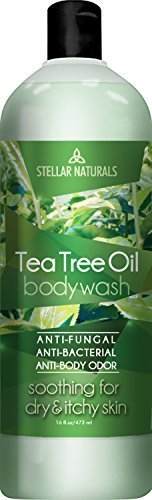 Stellar Naturals Antifungal Tea Tree Body Wash with Eucalyptus